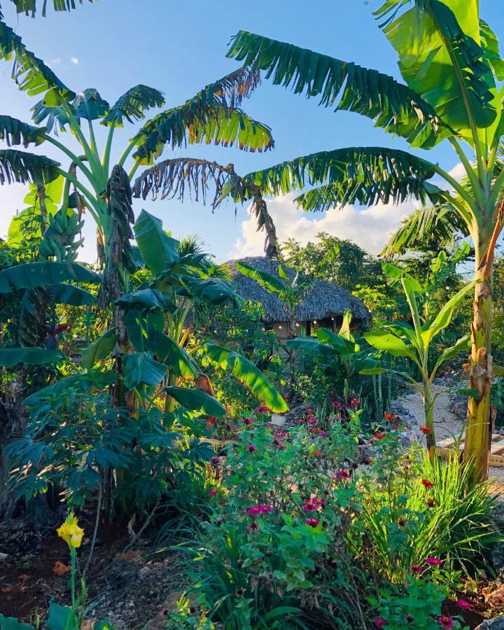 Guaiguei Bayahibe Villa Exteriör bild