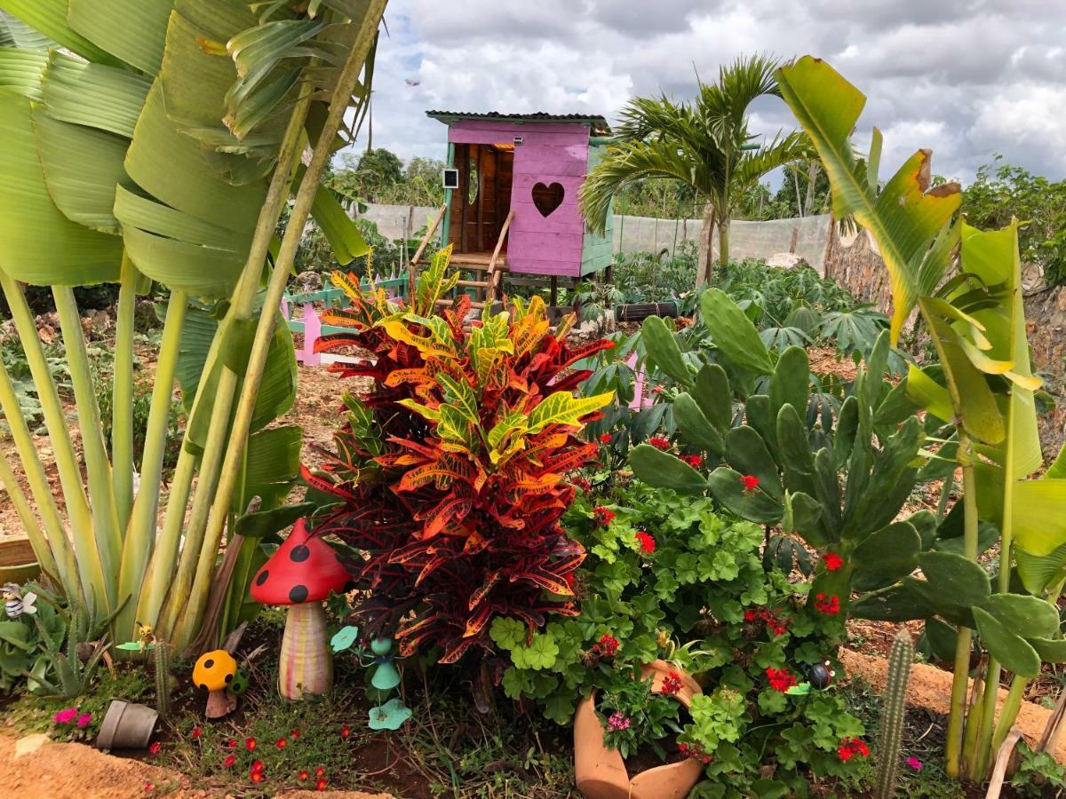 Guaiguei Bayahibe Villa Exteriör bild